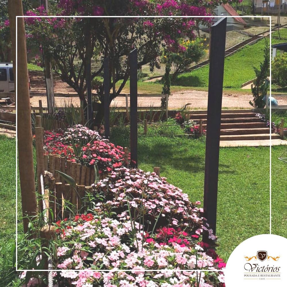 Jardim decorado